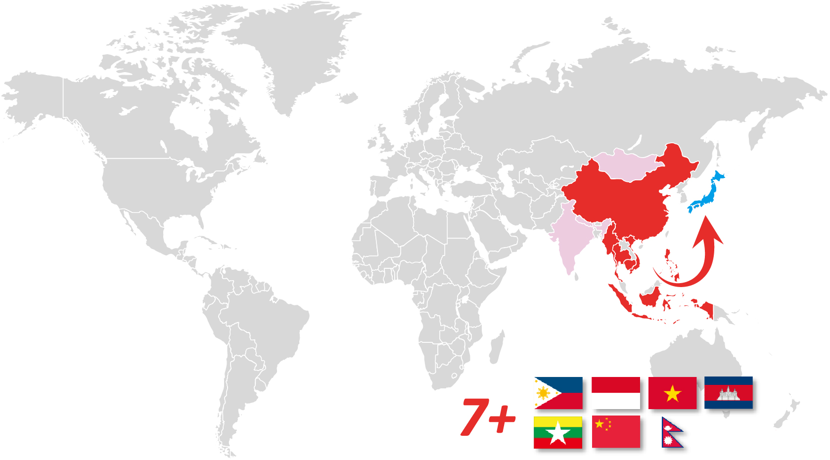 外国人材 累計1000人超の実績
